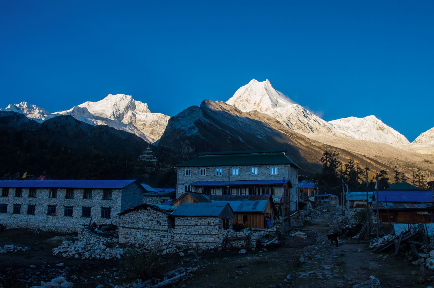 Manaslu Circuit Trek 12 Days High Five Treks Nepal