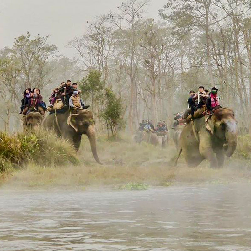 Chitwan Safari