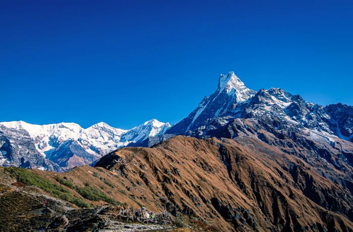 Mardi Himal Trek - 7 Days 